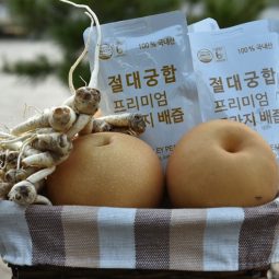 절대궁합프리미엄 도라지배즙