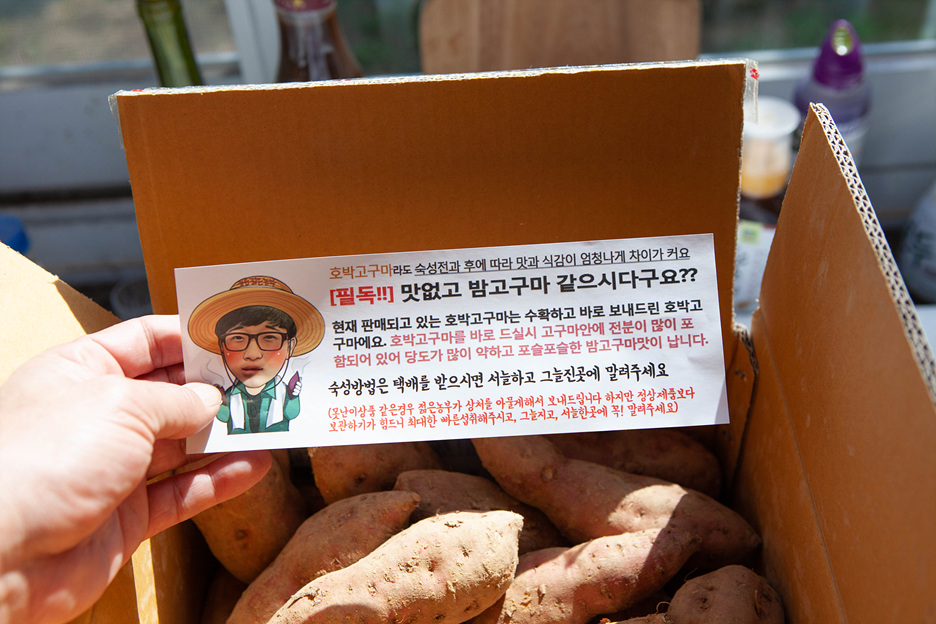 햇 호박고구마 맛있게 먹는 방법 ⓦ 정읍 젊은농부