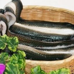 시래기풍천장어탕500g