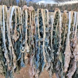 [햇무청 건시래기] 시래기전용 무청을 자연건조한 시래기 1kg