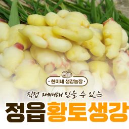 25년 국내산 생강, 깐생강1kg,슬라이스생강1kg (특품)