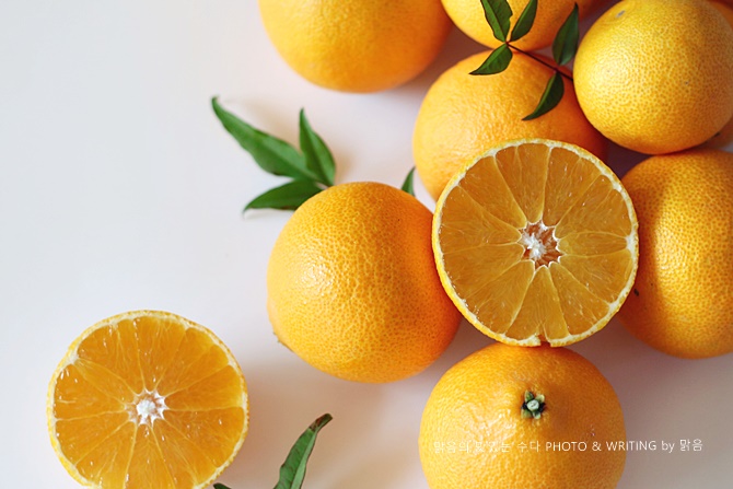 황금향, 톡톡 터지는 달콤새콤함이 굿!! 신흥농원 황금향