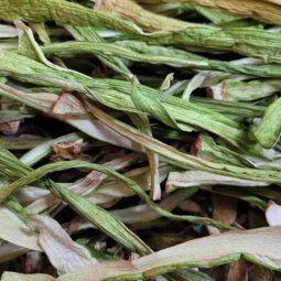 [건토란대]국산 말린 햇토란줄기 100g