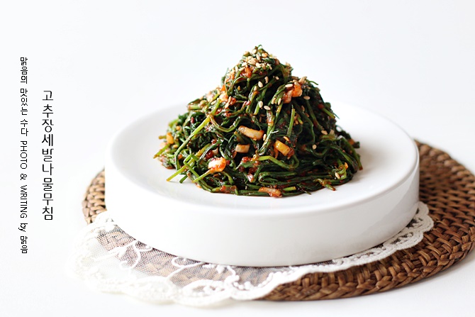 고추장 세발나물무침, 뽀득뽀득 식감 좋은 나물반찬 요리
