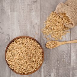 2024년 유기농 쌀귀리1kg