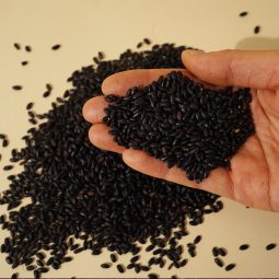 유기농 찰흑미5kg(1kg씩 소포장)