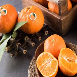 홍예향(레드향)5kg 가정용(24과내외)