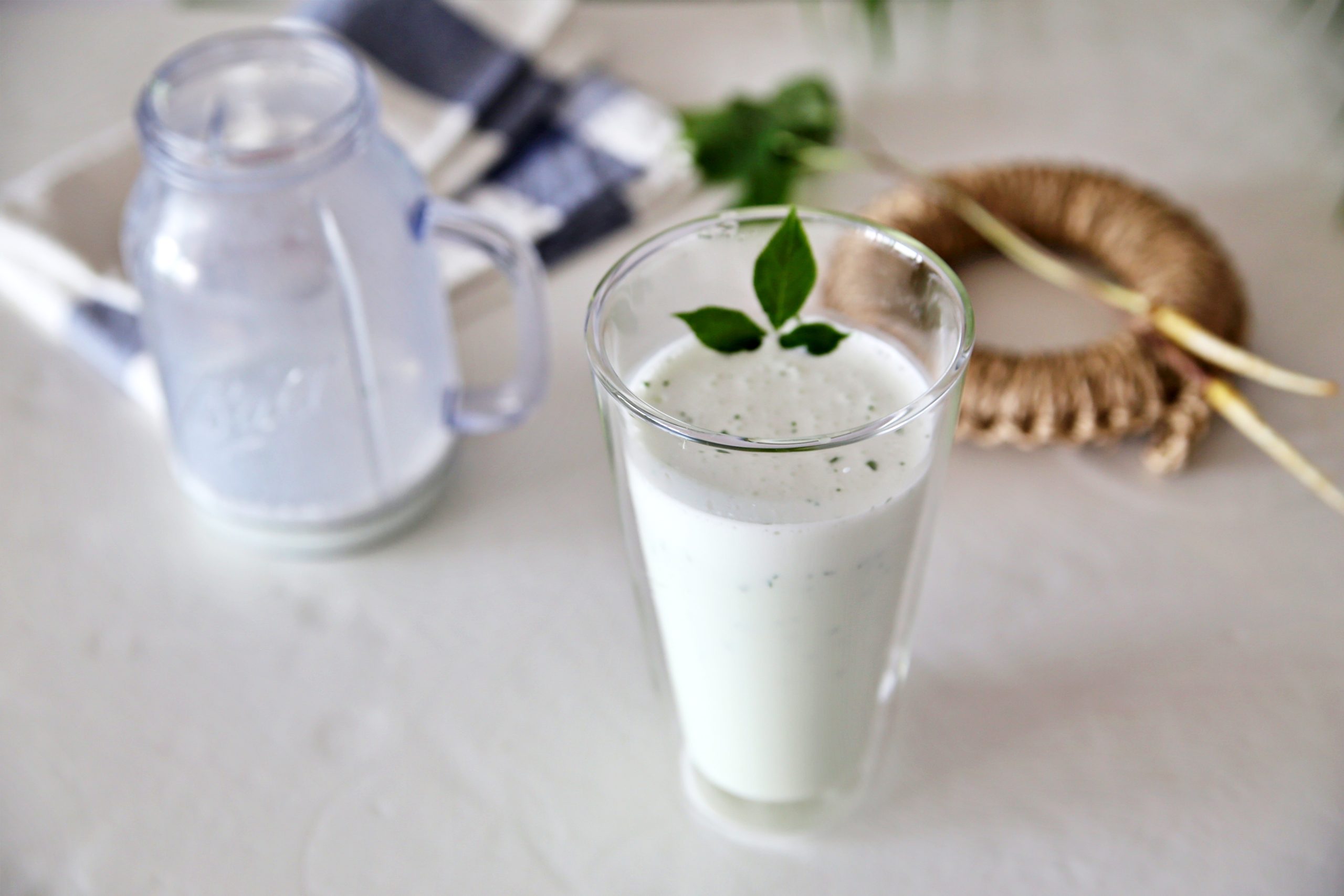 간편한 새싹인삼 먹는법 건강음료 인삼우유 새싹인삼 효능