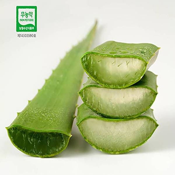 정읍알로에국수(1kg) - 이미지 5