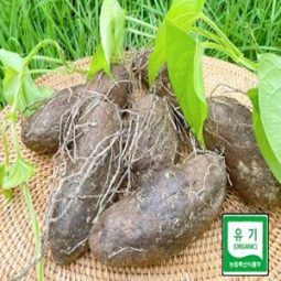 (유기농둥근마)조금 못생긴 중품 1kg/3kg/5kg