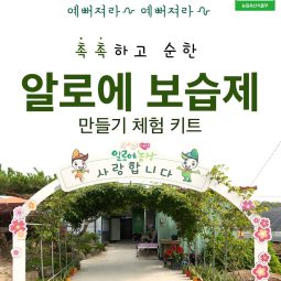 알로에100%순한보습제 (수제화장품체험키트1세트)