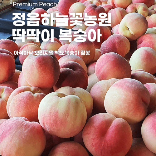 [택배주문] 딱딱이복숭아(경봉) 4kg(12~13과)