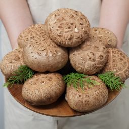 건강한 식탁 이룬농산 생표고