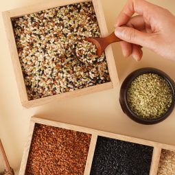 해와달 잡곡3종 선물세트(오색현미, 찰현미, 현미)